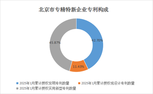北京市專精特新企業(yè)月度發(fā)展報(bào)告(2025年1月)